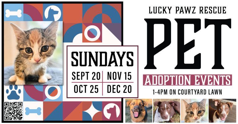 September Pet Adoption with Lucky Pawz Rescue